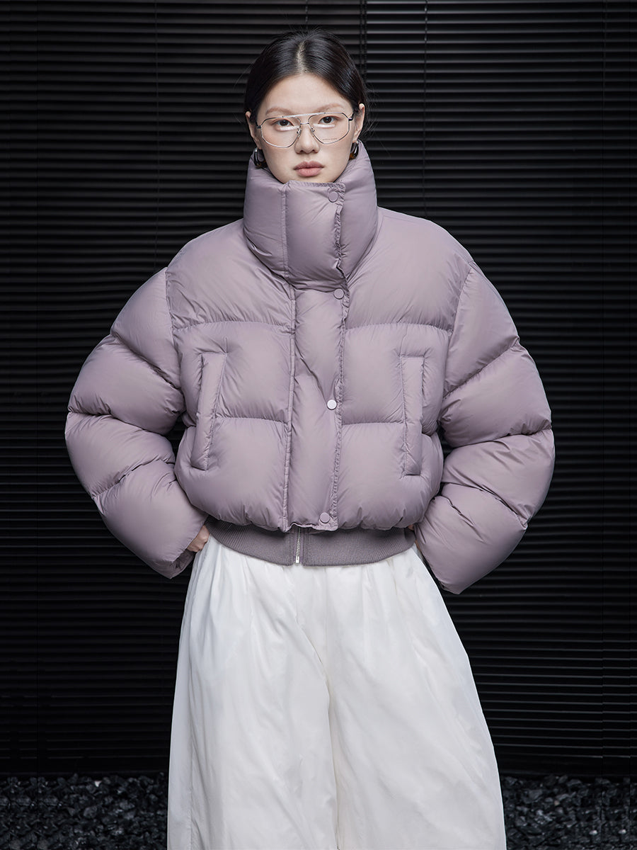 Short Purple Down Jacket for Women Winter Stand Collar Warm Unique Coat