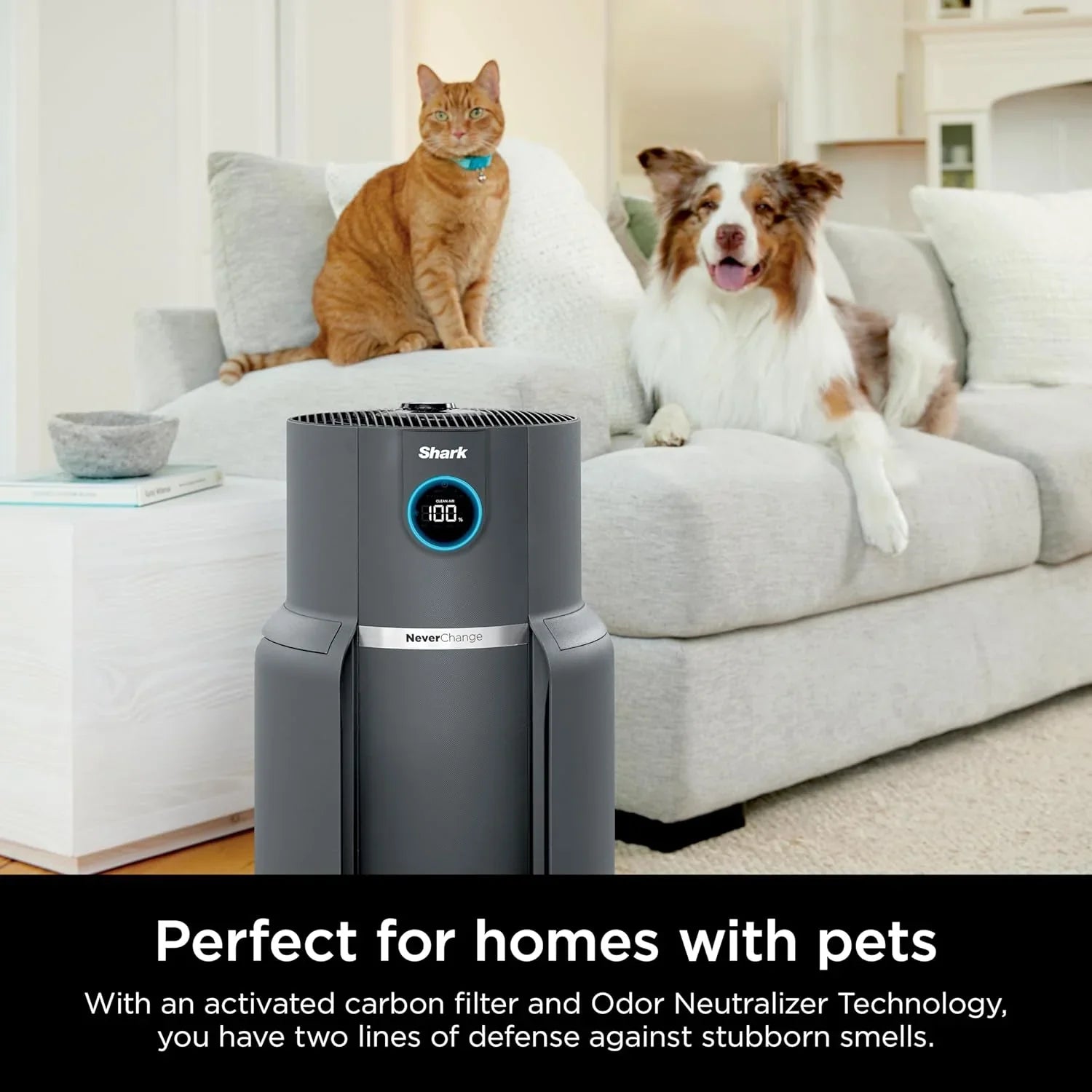 Purificateur d'air Compact Pro avec filtration HEPA longue durée, pour squames d'animaux, poussière, fumée, allergènes, jusqu'à 250 pi².