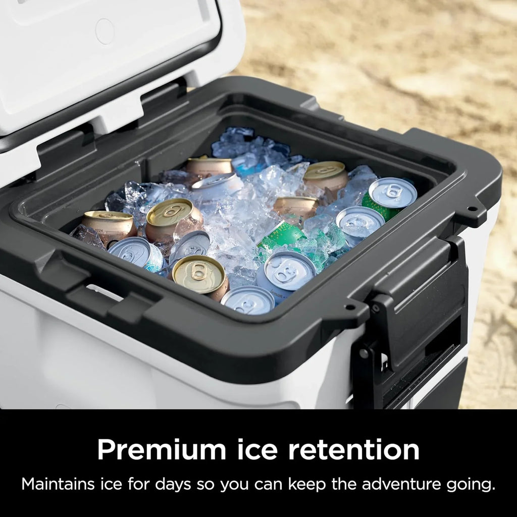 Ninja FlexFlame, Grils et fumoirs, Grils électriques et au propane, Rôtissoires, Grils de barbecue,