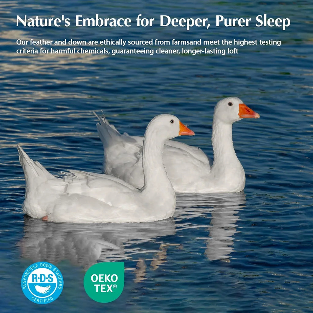 Couette en plumes d'oie taille queen, 100% coton, noyau de couette blanc super moelleux, doux et respirant