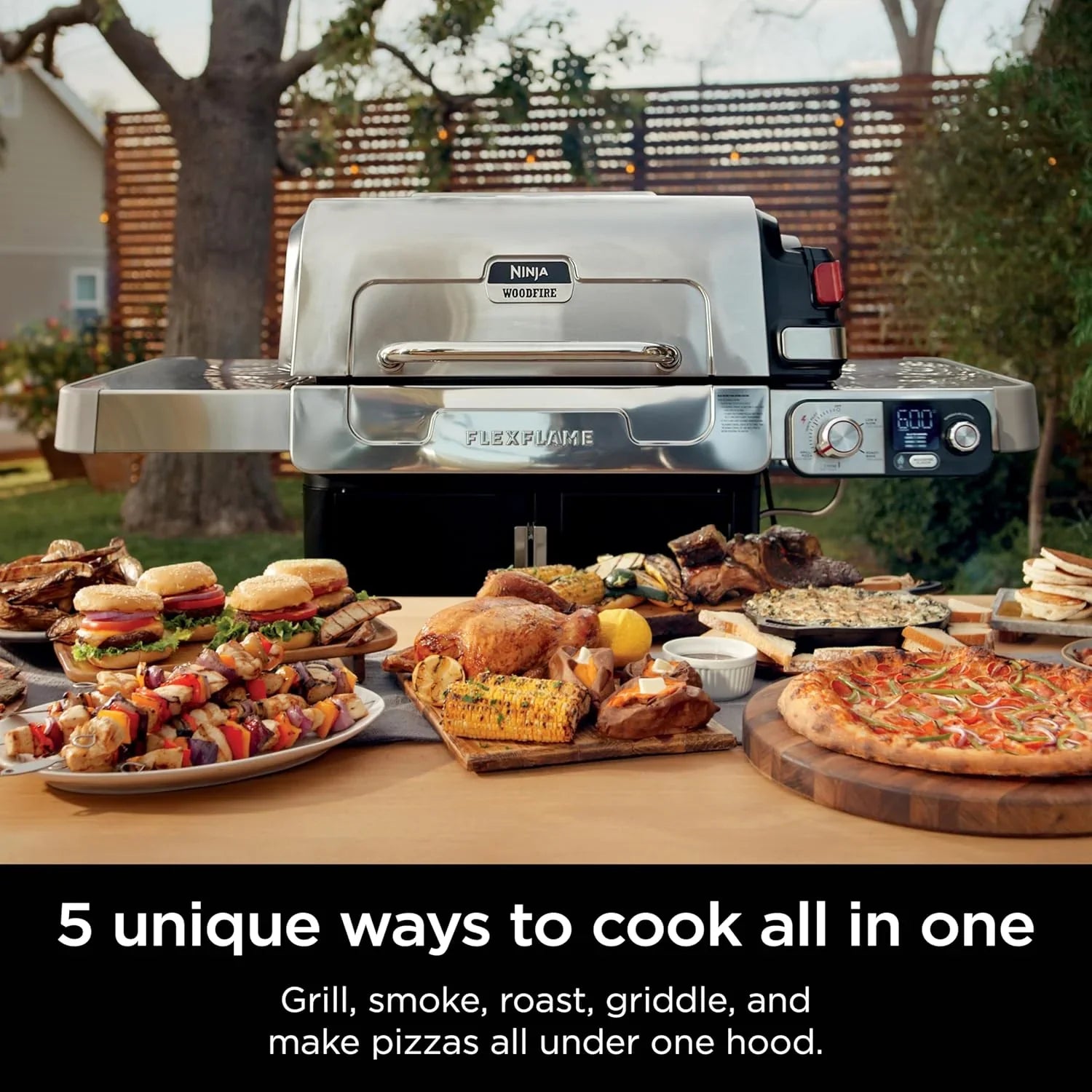Ninja FlexFlame, Grils et fumoirs, Grils électriques et au propane, Rôtissoires, Grils de barbecue,