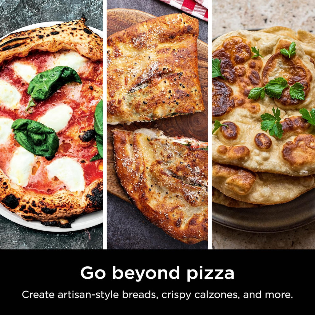 Ninja FlexFlame, Grils et fumoirs, Grils électriques et au propane, Rôtissoires, Grils de barbecue,