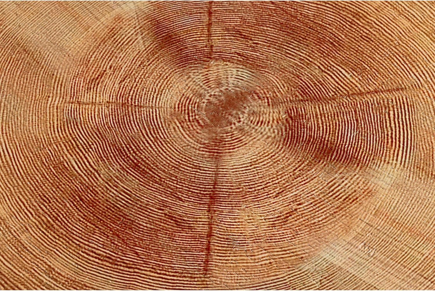 Ensemble de deux tables basses de salon de style ferme moderne