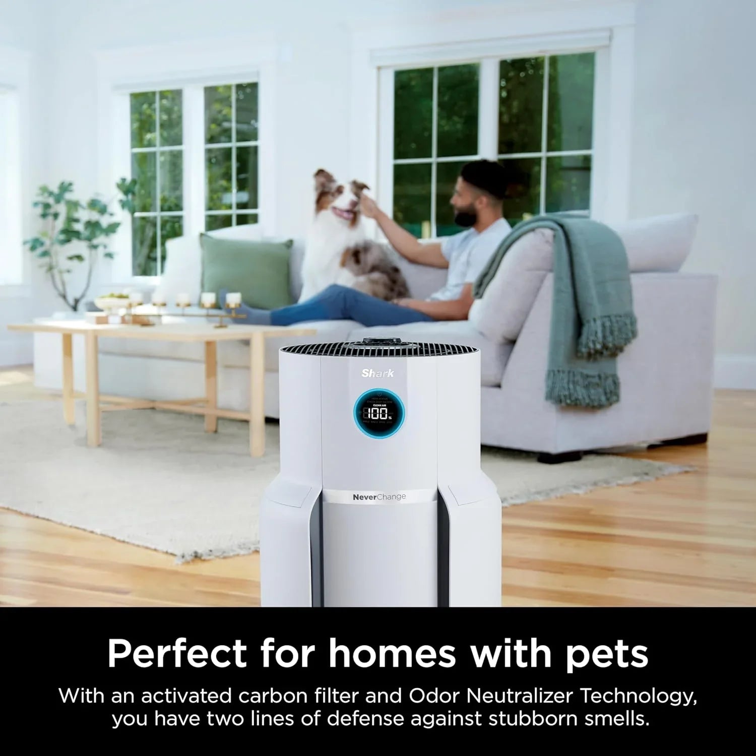 Purificateur d'air Compact Pro avec filtration HEPA longue durée, pour squames d'animaux, poussière, fumée, allergènes, jusqu'à 250 pi².