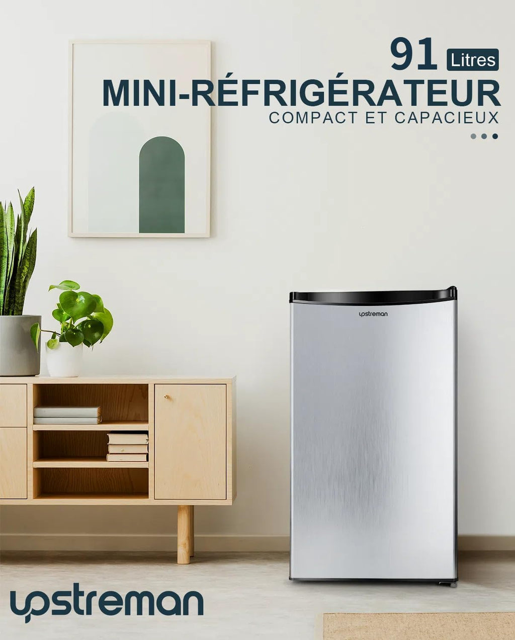 Mini réfrigérateur avec compartiment congélateur, bac à légumes 91L, thermostat réglable, silencieux