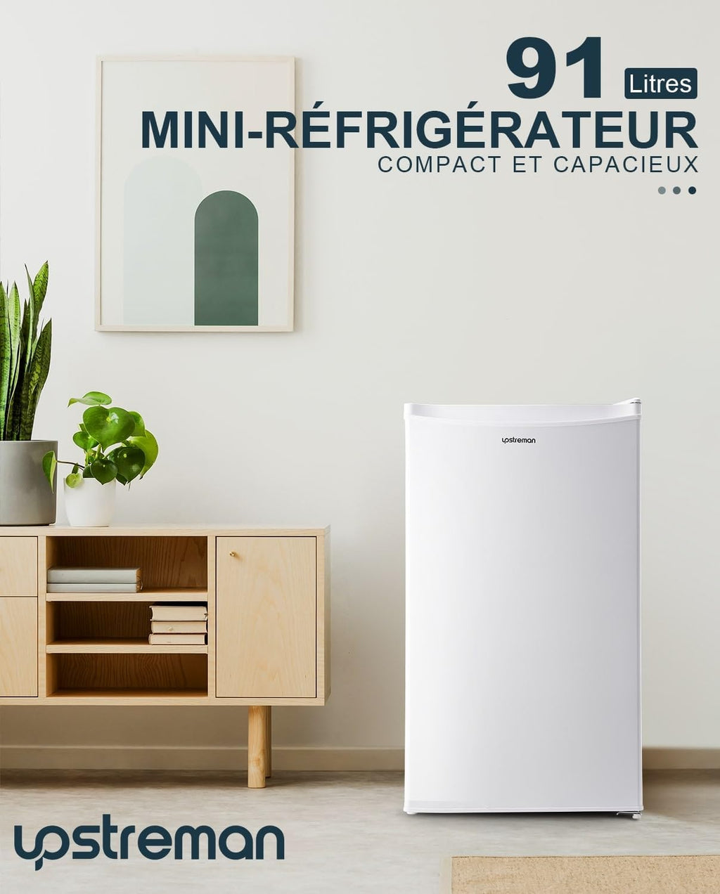 Mini réfrigérateur avec compartiment congélateur, bac à légumes 91L, thermostat réglable, silencieux