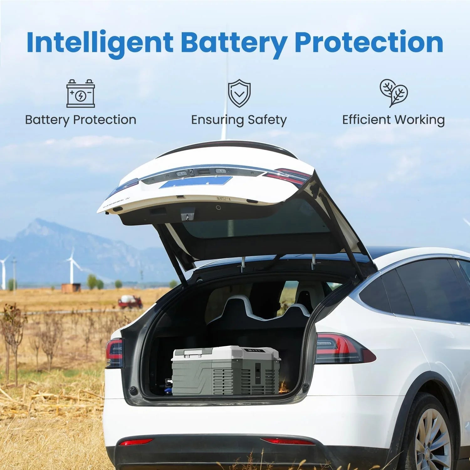 Réfrigérateur Alpicool 12 V Réfrigérateur de voiture 12 V Petit réfrigérateur de voiture