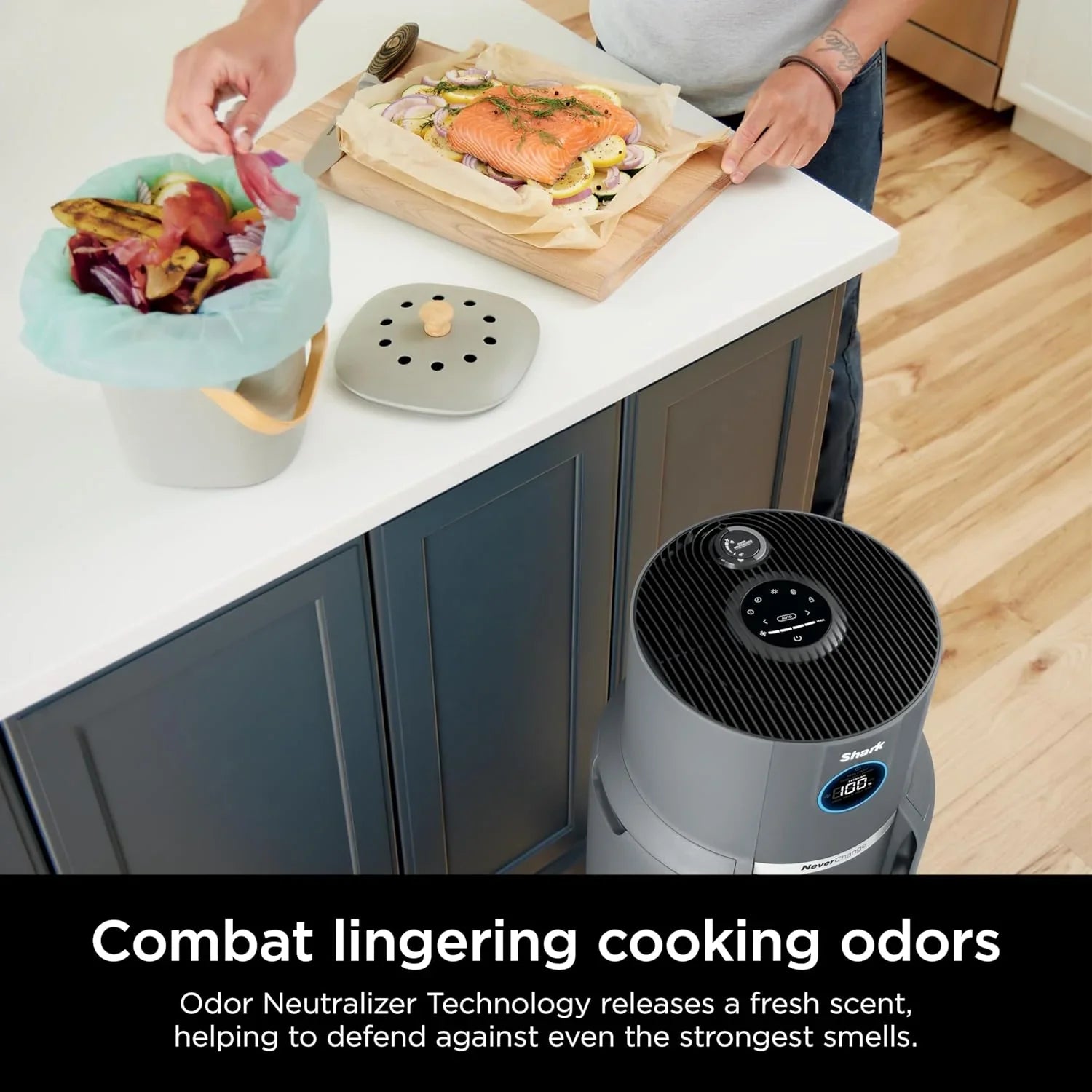 Purificateur d'air Compact Pro avec filtration HEPA longue durée, pour squames d'animaux, poussière, fumée, allergènes, jusqu'à 250 pi².