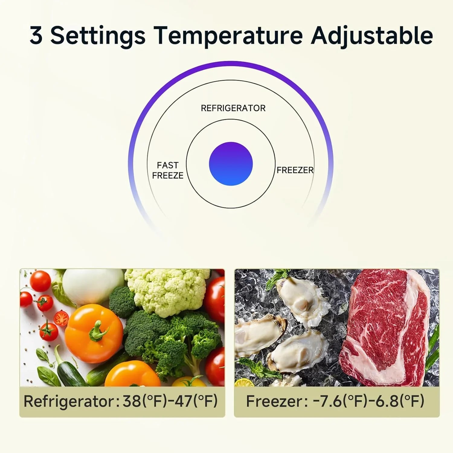 Congélateur vertical Bangson, 7 pieds cubes, congélateur/réfrigérateur vertical convertible