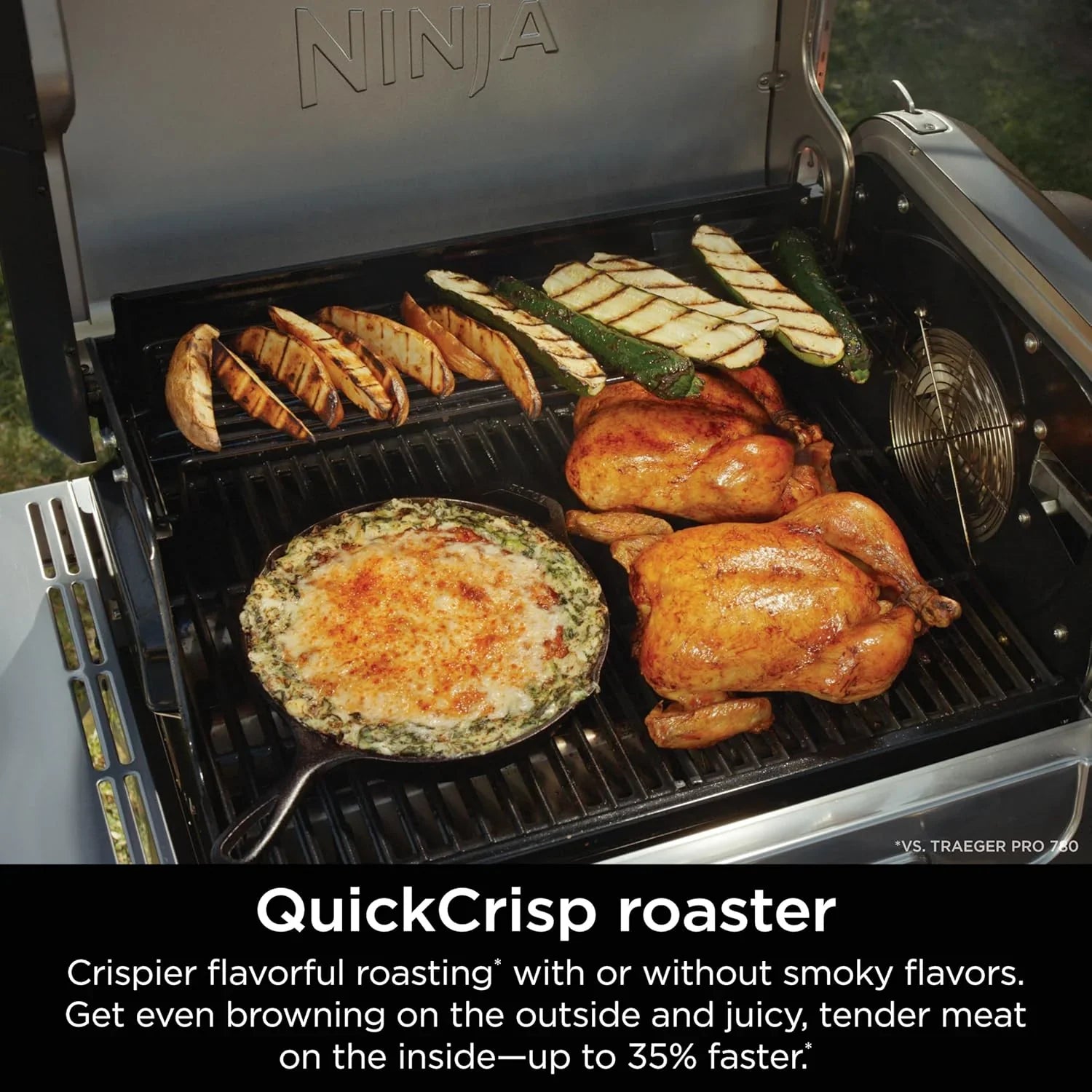 Ninja FlexFlame, Grils et fumoirs, Grils électriques et au propane, Rôtissoires, Grils de barbecue,