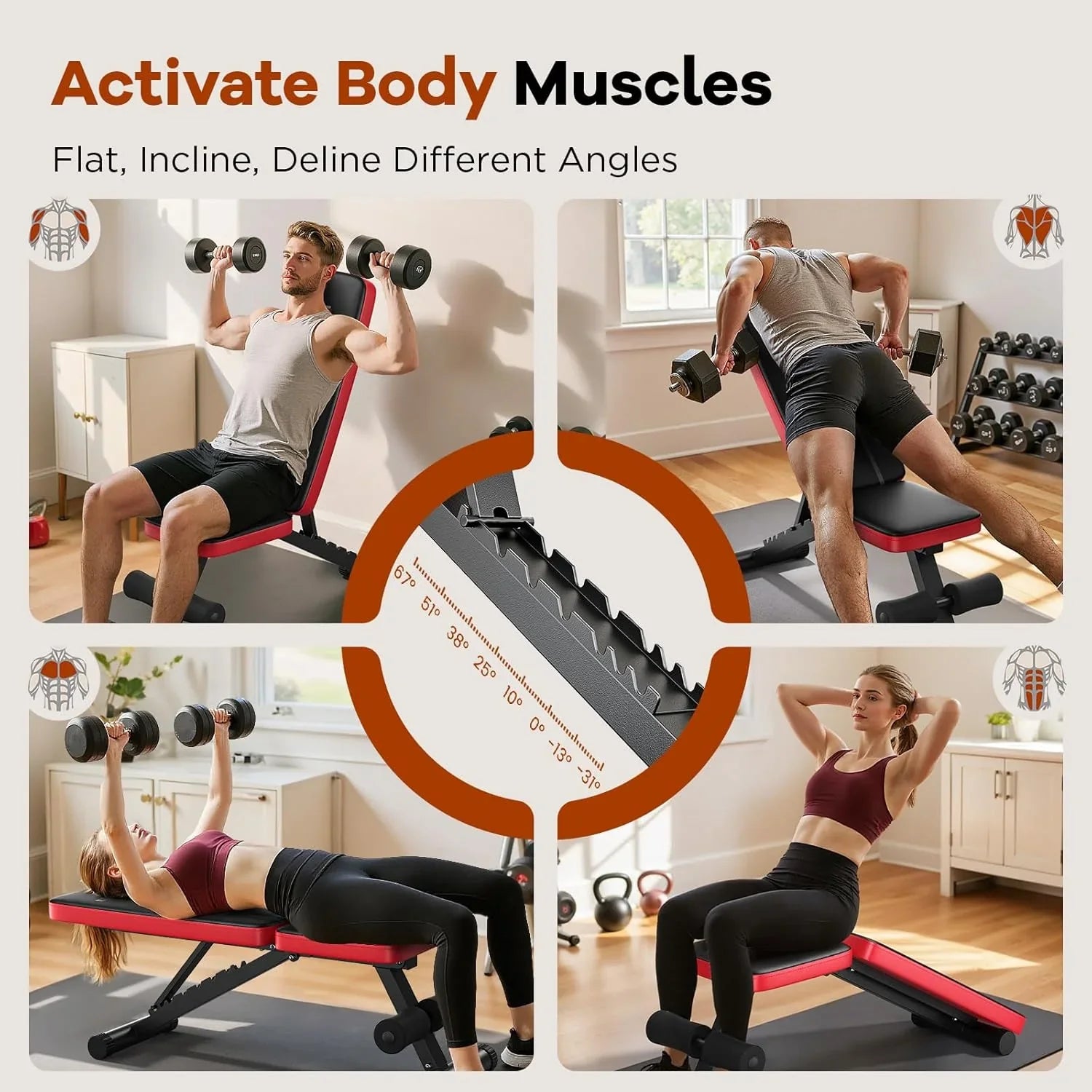 Banc de musculation de base pour salle de sport à domicile, banc d'entraînement pliable avec 8 dossiers, capacité de poids de 660 lb, banc réglable